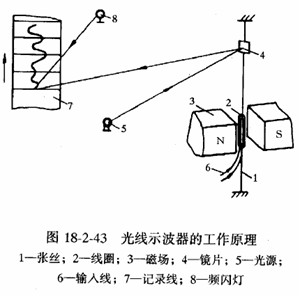 2010Y(ji)(gu)֪̎R(sh)c(din)2