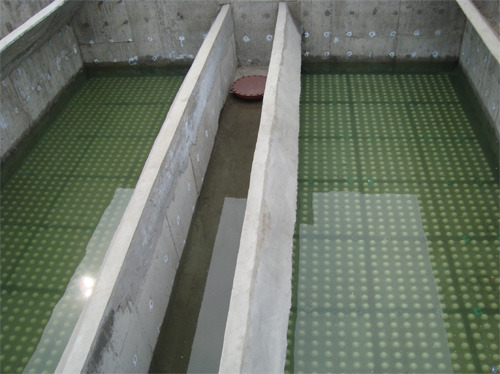 一級建造師考試復(fù)習(xí)重點：水池里的秘密