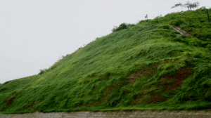 二級(jí)建造師考試知識(shí)點(diǎn)：防護(hù)與支擋工程類(lèi)型