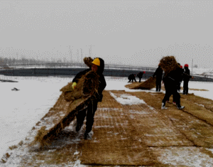 二級建造師考試知識點：無機結(jié)合料基層(底基層)養(yǎng)護