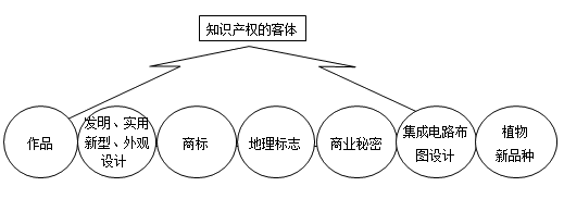 知識產(chǎn)權(quán)